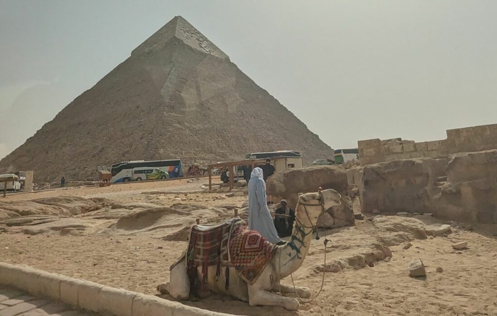 Kamel vor der Pyramide