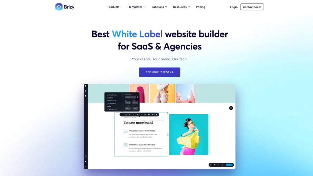 3 Website Builder, die kaum jemand kennt – Alternativen zu Webflow, Bricks & Elementor 2 brizy website builder
