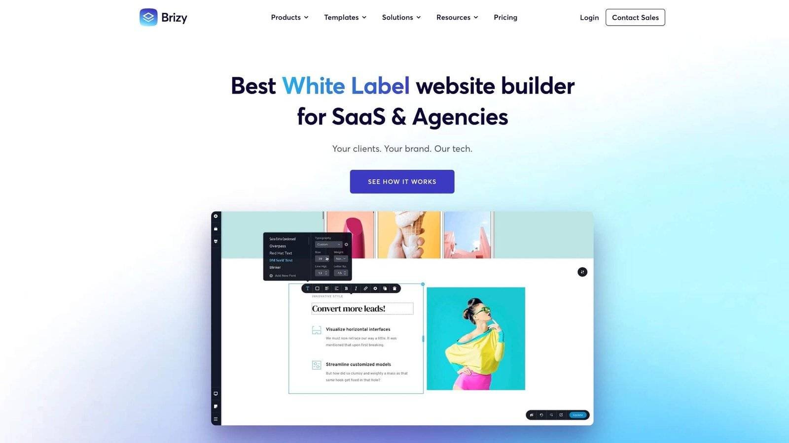 brizy website builder