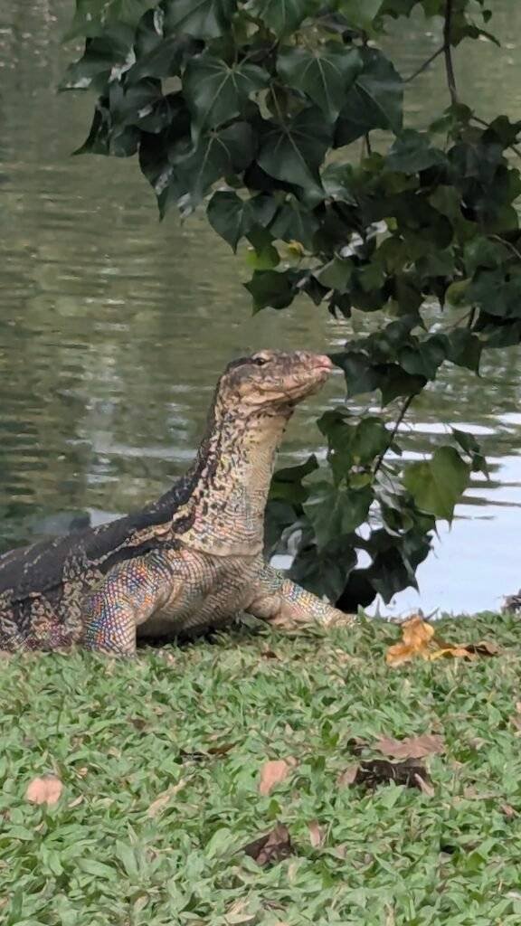 PXL 20251217 074954853