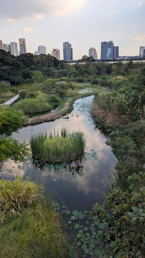 PXL 20251217 094252233