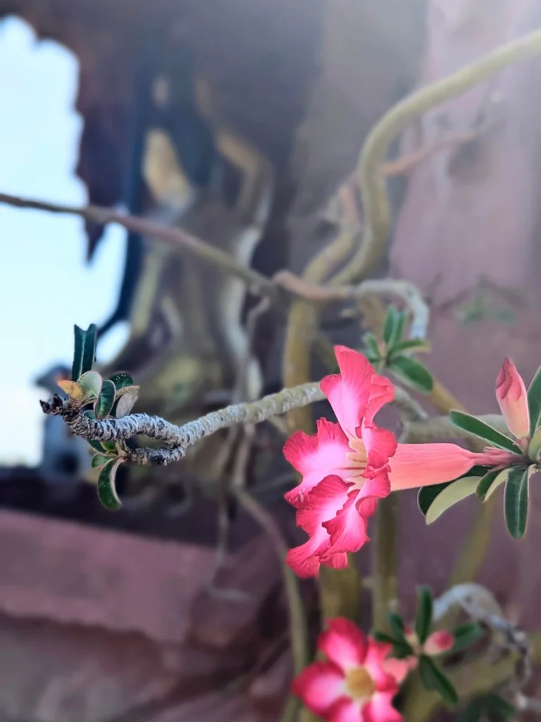 Instagram post from andy.webdesign. This post is in position 2.