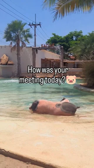 Instagram post from andy.webdesign. This post is in position 4.