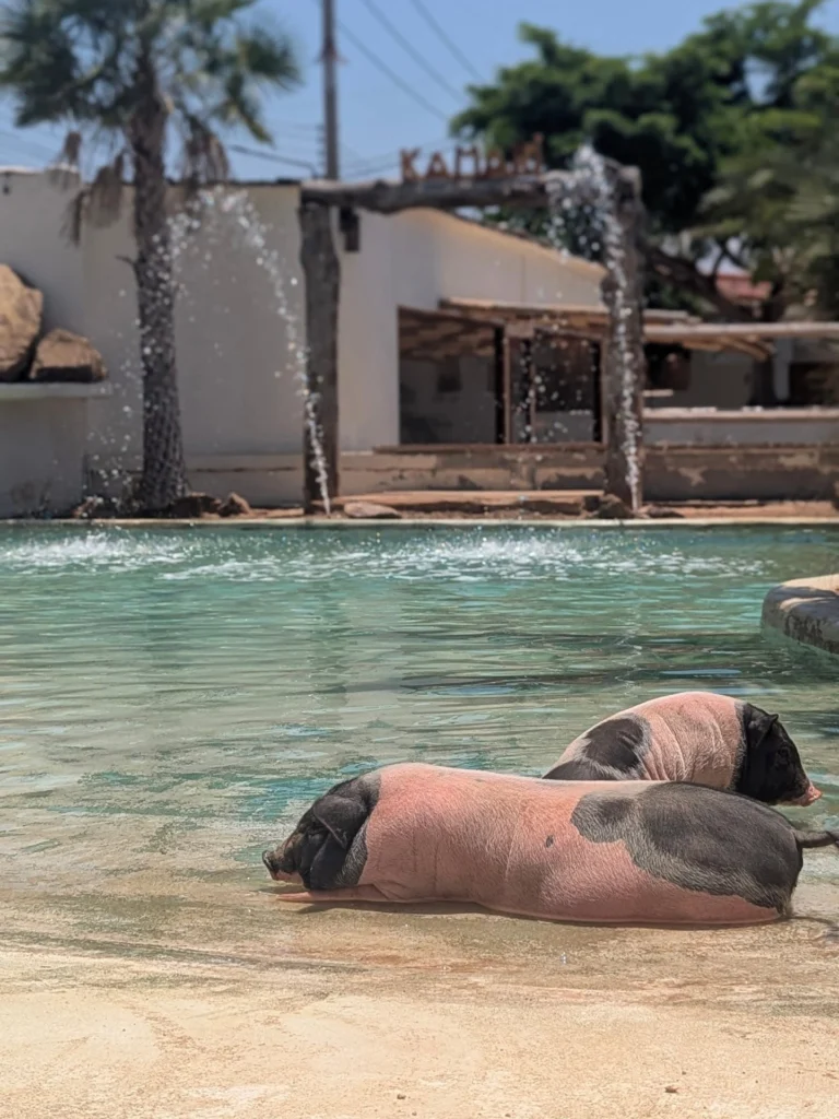 Instagram post from andy.webdesign. This post is in position 13.